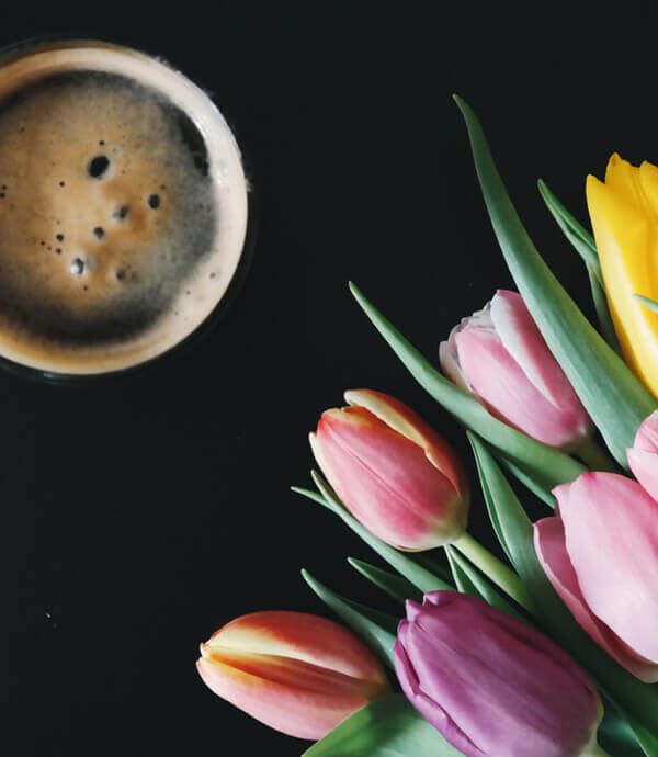 tulips